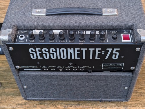 Sessionette combo amp with - sessionette,