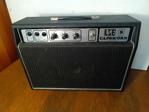 Vintage lse capricorn guitar - lse, 8