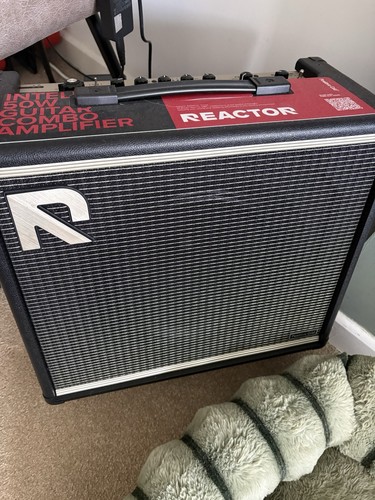 Positive grid reactor - positive,