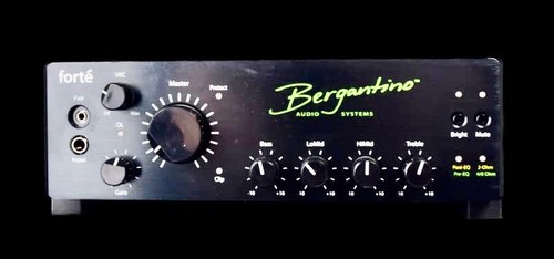 Bergantino bass amp