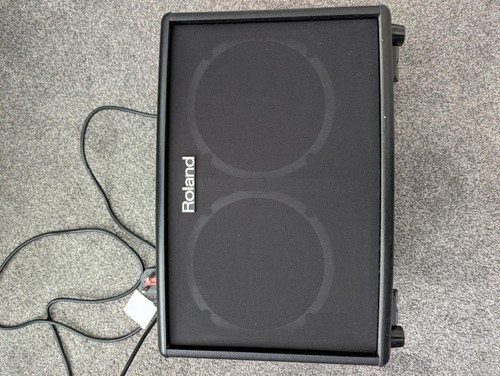 Roland accoustic amp - accoustic,