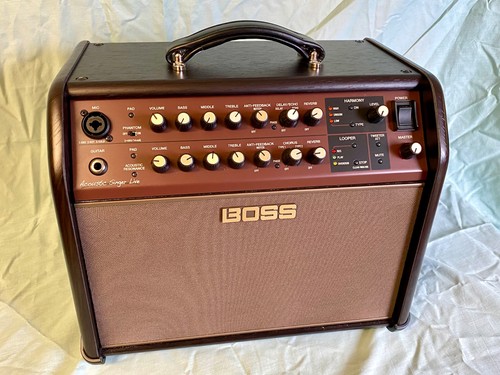 Boss acoustic singer live - boss,